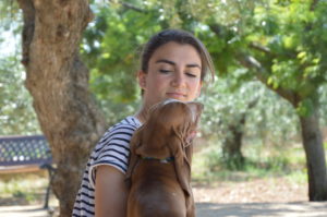 bracco italiano cuccioli